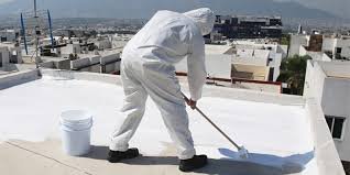 Roof Paints